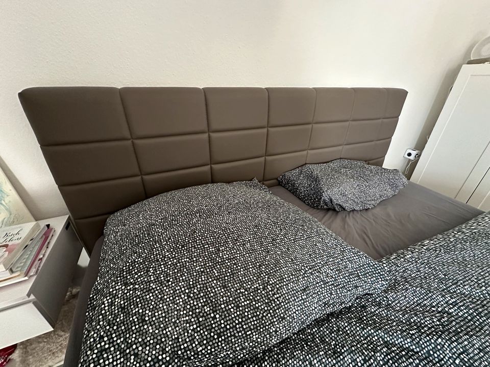 Boxspringbett in Weingarten