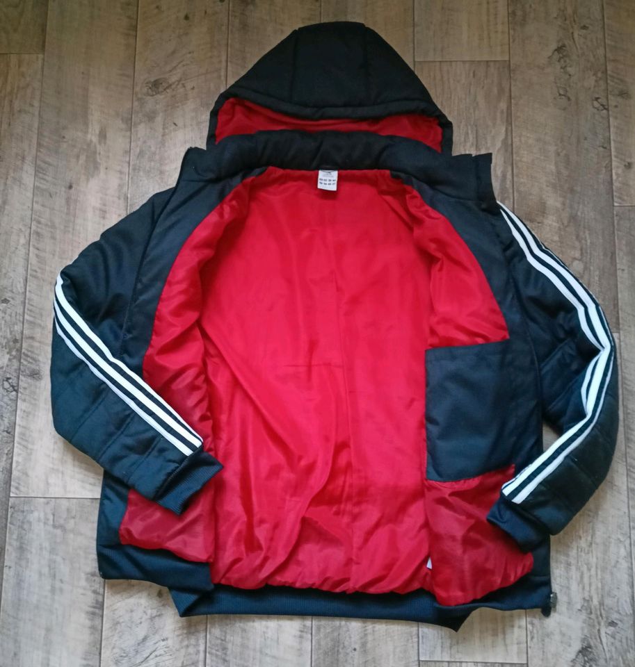 Adidas DFB Winter Jacke Größe L in Chemnitz