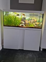 Eheim komplettes Aquarium 240 Liter Frankfurt am Main - Gallusviertel Vorschau