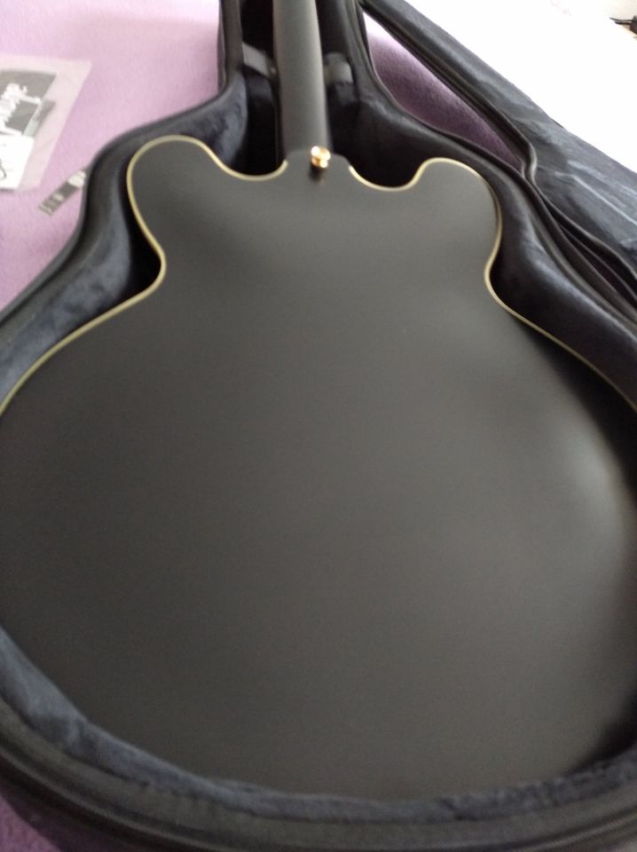 Epiphone Sheraton Emily Wolfe Stealth Ebony in Frankfurt am Main