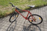 Jugendfahrrad, Geländefahrrad, Premium Aluminium Baden-Württemberg - Eberdingen Vorschau