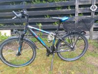 Jugendfahrrad 28 Zoll Raleigh 7 Gang Shimano Niedersachsen - Wolfenbüttel Vorschau