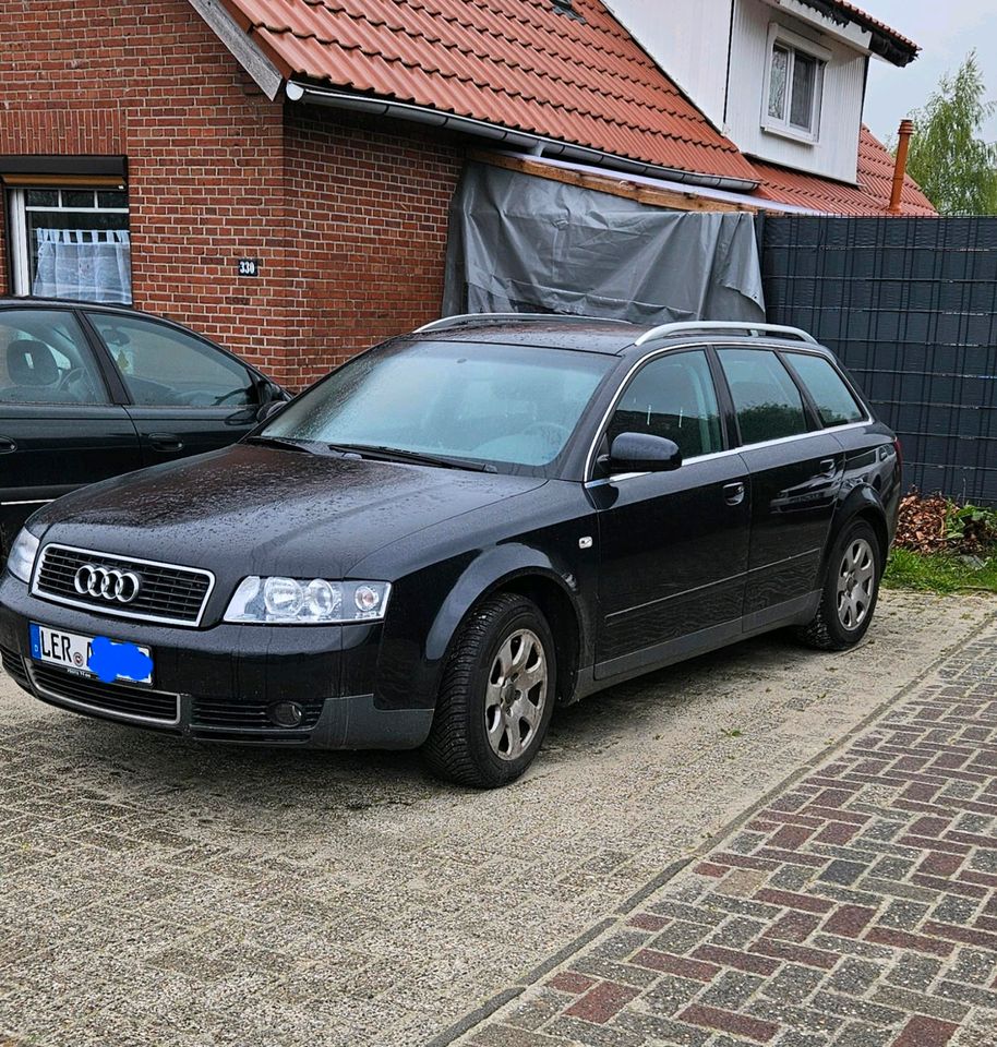 Audi a4 b6 in Rhauderfehn