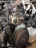 VW   Golf Passat TDI  1.9 Motor Nordrhein-Westfalen - Velbert Vorschau