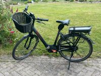 Gazelle Arroyo C7 Bosch 500 Wh, Inspektion neu RH 53 cm Niedersachsen - Bruchhausen-Vilsen Vorschau