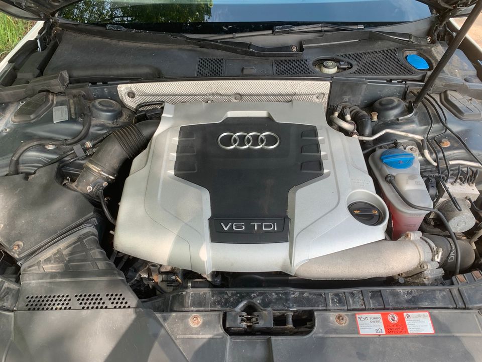 Audi A5 2,7 TDI Sportback Euro 5 Sline 20“ Rotor Xenon in Ingolstadt
