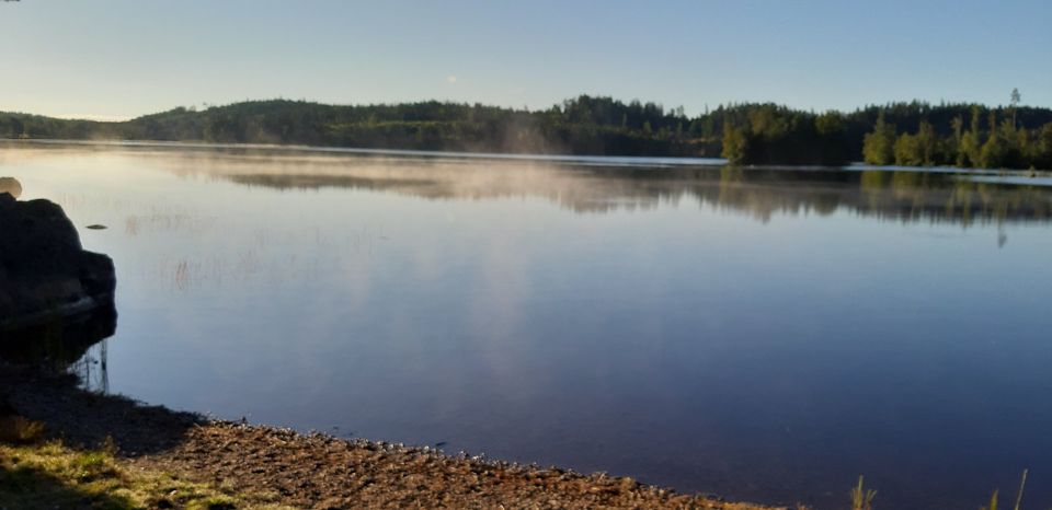 süsse Ferienwohnung für 2 Pers. Kreativhof Schweden Ferienhaus in Süsel