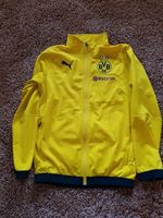 BVB Trainingsjacke Gr.164 Niedersachsen - Papenburg Vorschau