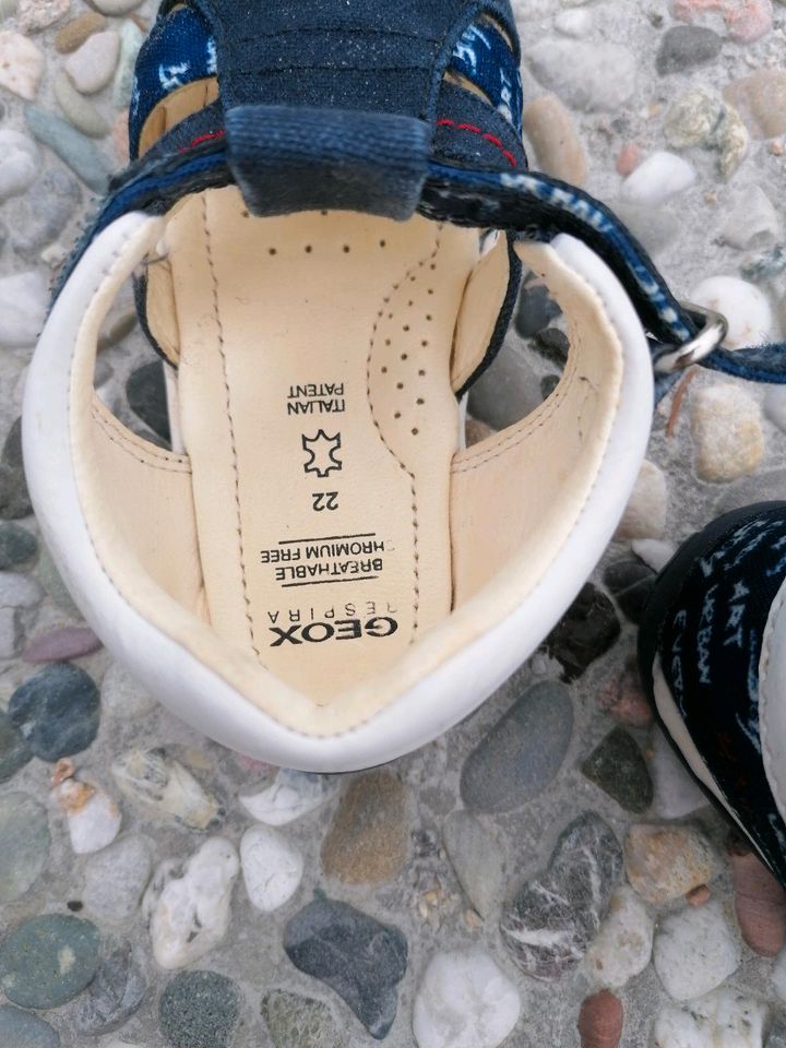 Sandale, Geox, Schuhe, Kinder in Penkun
