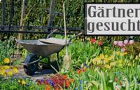 Gärtner, Unterstützung für den Garten gesucht! Hessen - Flörsheim am Main Vorschau