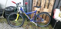 Cycle Wolf  kiowa Mountainbike 26" blau nahezu ungebraucht Sachsen - Lichtenberg/Erzgebirge Vorschau