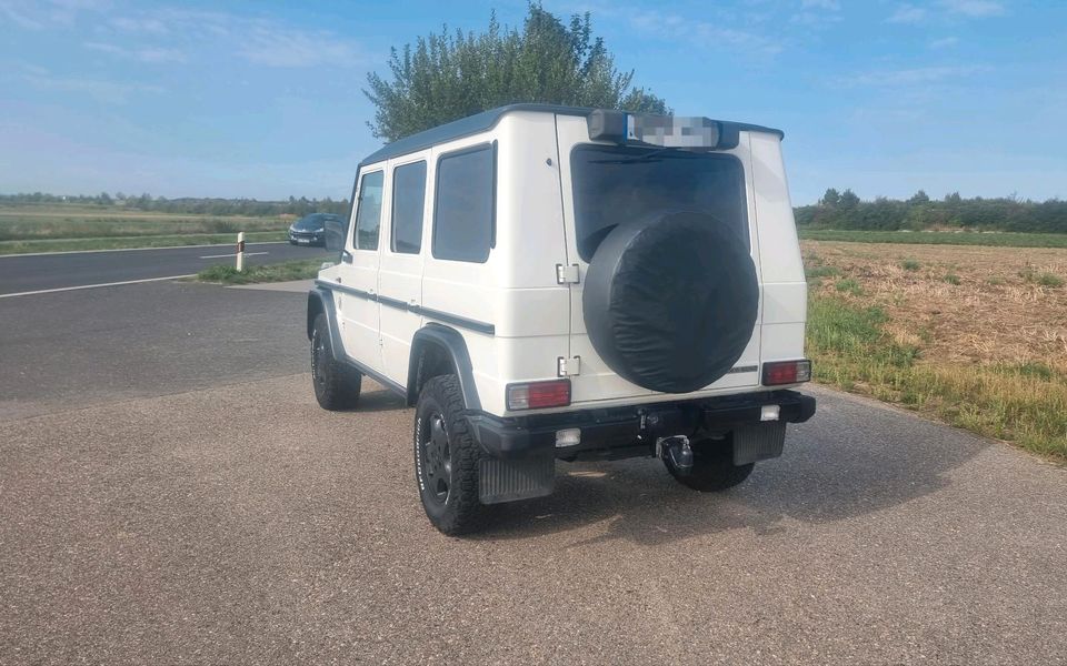 Mercedes G280 Professional W461, G Klasse, VW Kübelwagen KDF 82 in Heinsberg