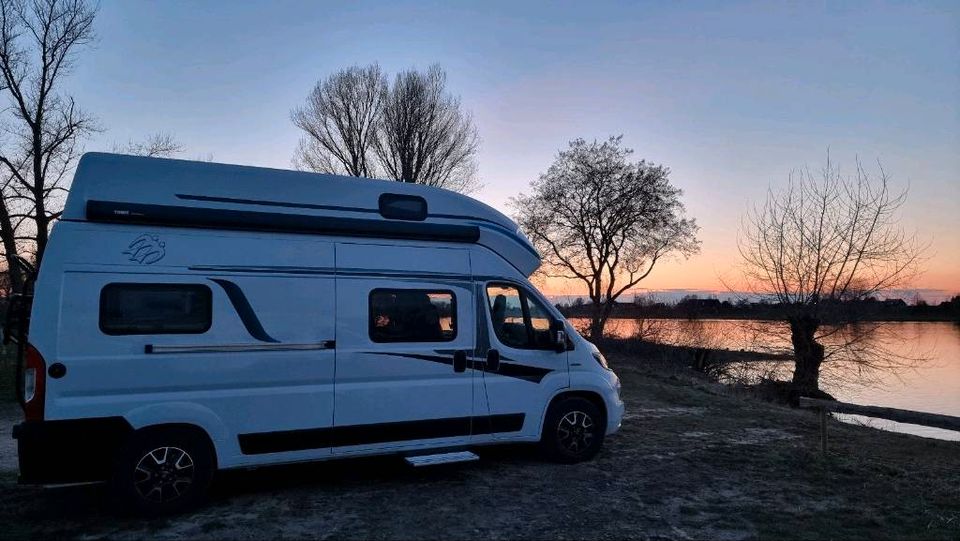 Knaus Boxstar XL Street Campervan  Wohnmobil 1J Gewährleistung in Winsen (Luhe)