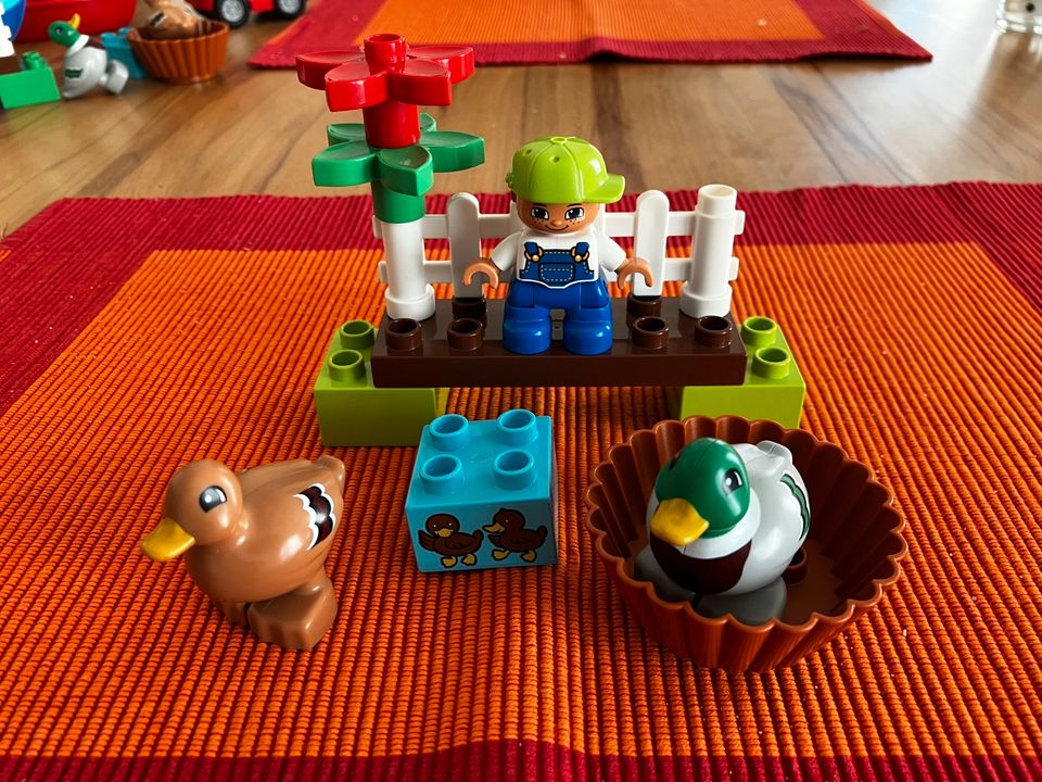 Lego Duplo - Entenfütterung in Düsseldorf