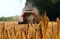 landwirtschaftl. Praktikum, Ausbildung, Job Hessen - Bebra Vorschau