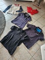 6 Poloshirts Set in M 48 50 Markenshirts Leipzig - Lindenthal Vorschau