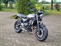 Kawasaki Z650 RS NEU 2024 mit 4 Jahre Garantie Brandenburg - Bad Liebenwerda Vorschau