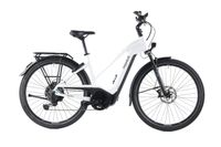 Pegasus Premio EVO 11″40 Years" - 2022 - 50 cm | nur 664 km | Bosch Performance Line CX (85 Nm) 750 Wh | UVP 4.249 € | 1 Jahr Garantie | E Bike Trekking Tiefeinsteiger Kr. München - Ottobrunn Vorschau