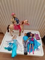 Barbie Pferd Reiterin  Barbie Puppen Ken Eiskönigin Bayern - Untermerzbach Vorschau