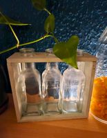 Vase Flaschen für Ableger Blumentopf Glasflasche grün Holz türkis Berlin - Spandau Vorschau