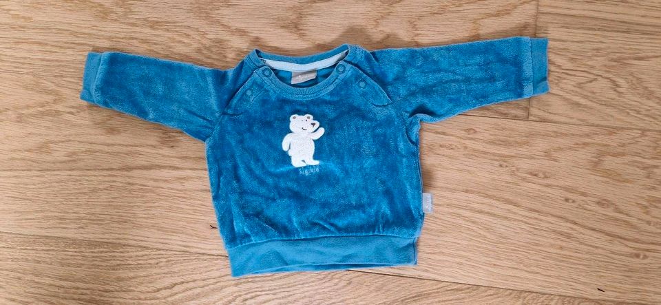 Sigikid Pullover  Größe 56 2M Babypulli Baby Blau Pulli Bärchen in Maintal