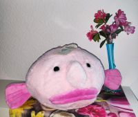 Build a bear blobfisch Teddy Saarland - Saarlouis Vorschau