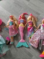 Barbies je 3€ Schleswig-Holstein - Bad Oldesloe Vorschau