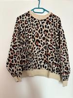 Pullover Leopard Aubing-Lochhausen-Langwied - Aubing Vorschau