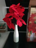 Vase....Weihnachtsstern in Vase mit LED Nordrhein-Westfalen - Holzwickede Vorschau