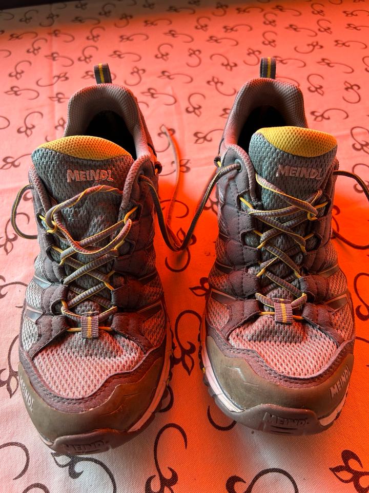 Meindl Damen Schuhe Caribe Lady GTX 3823-23, Wanderschuh in Feldkirchen-Westerham