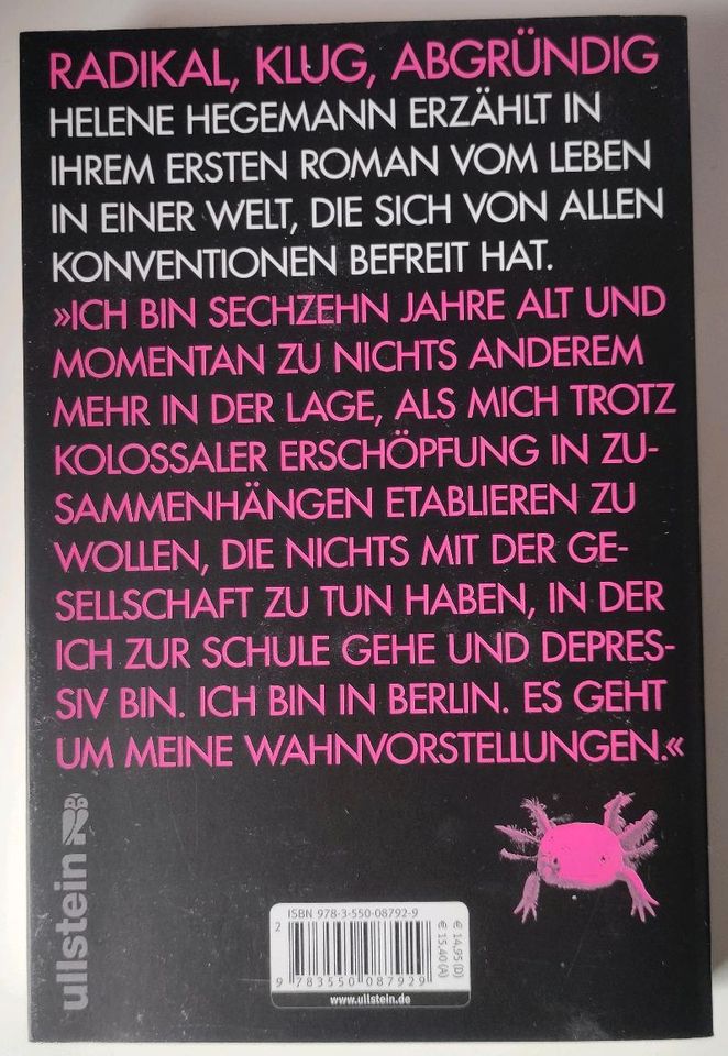 Axolotl Roadkill, Helene Hegemann in Hof (Saale)