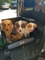 Dogstyler XL Auto Hundebox Multivan Kombi Niedersachsen - Grafhorst Vorschau