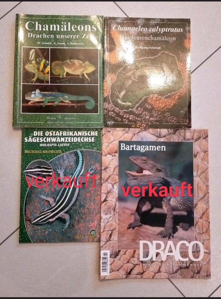 Chamäleon Fach-Bücher Reptilien Chamäleons in Wuppertal