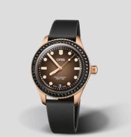 Oris Taucheruhr sixty-five Bronze, schwarze Diamanten nur 250 St Frankfurt am Main - Rödelheim Vorschau