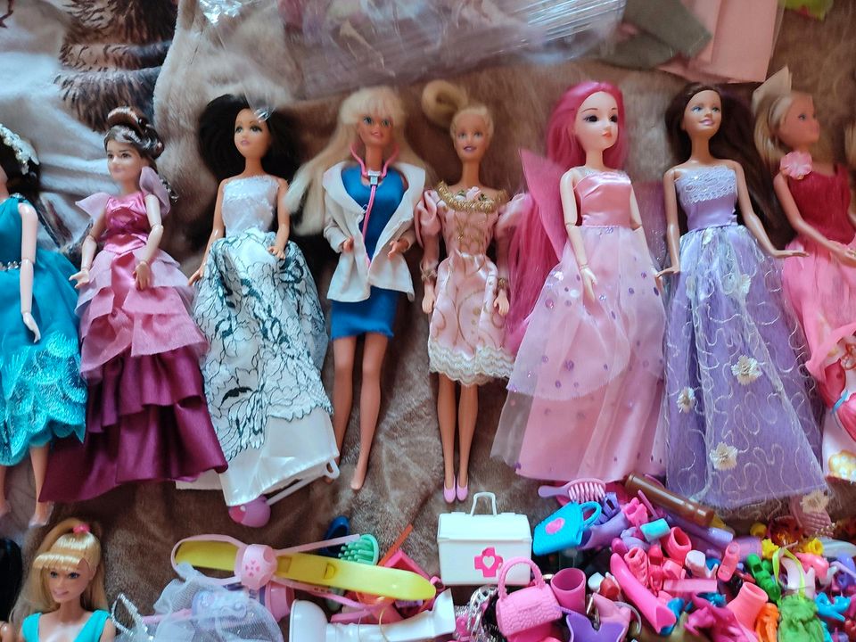 Großes Barbie Konvolut in Erfurt