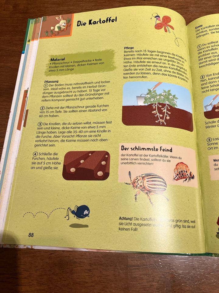 Kinderbuch Natur- und Pflanzen ABC in Langewiesen