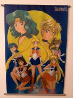 Sailor Moon Wallscroll Wandbild Textiles Poster Rheinland-Pfalz - Mutterstadt Vorschau