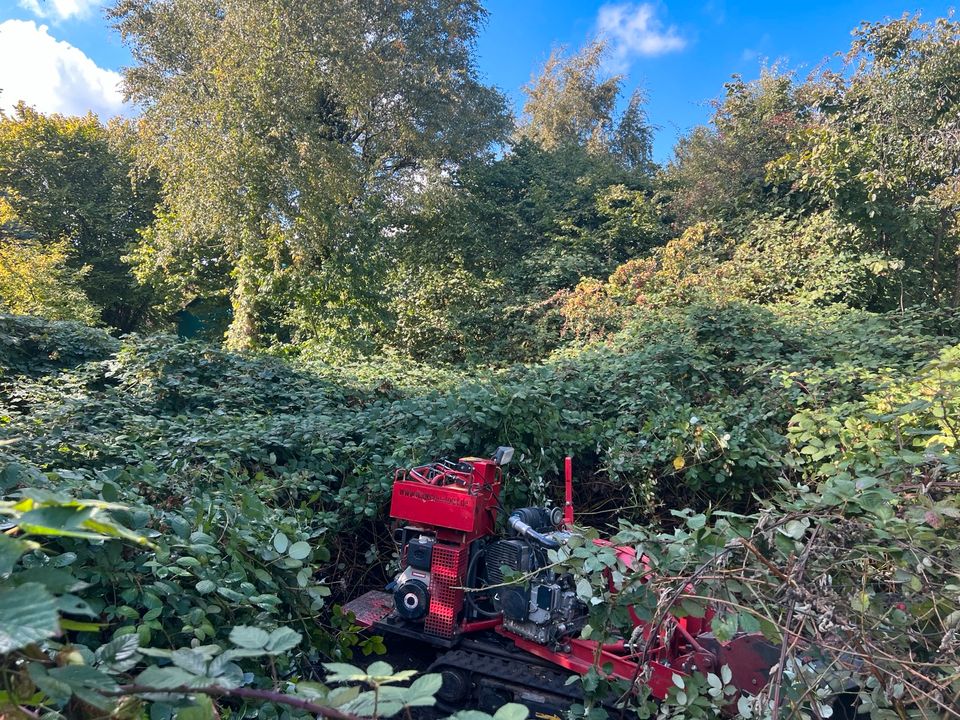 Baumwurzel entfernen, Stubbenfräsen, Baufeldrodung, Rodung in Langwedel