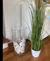 Vase mit Dekogras 100 cm Baddeko Ziergras Nordrhein-Westfalen - Meerbusch Vorschau