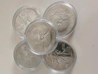 1oz 1 Unze American Eagle Silbermünze 5 Stück Nordrhein-Westfalen - Marl Vorschau
