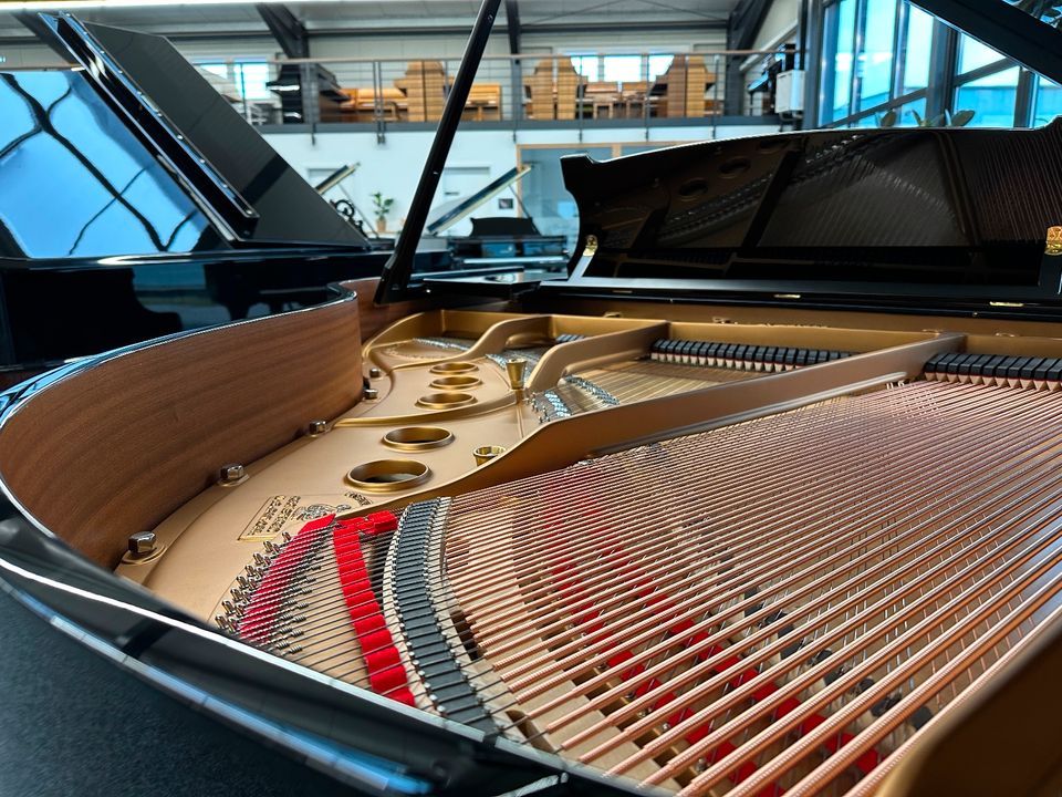 Steinway & Sons Flügel, Mod. S-155, Generalüberholt, 5 J.Garantie in Swisttal