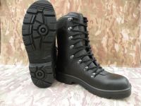 Orig. BW Kampfstiefel, Neu , SONDERANGEBOT, GÜNSTIG Schleswig-Holstein - Handewitt Vorschau