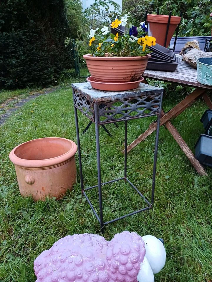 ..  wegen Aufgabe des Gartenhobbys zu verkaufen  ..  ab 1  € in Fulda