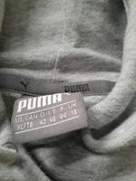 Puma pulli Niedersachsen - Stadthagen Vorschau