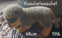 Kuschelwuschel Rauhaardackel Dackel Hund 45cm Plüschtier Baden-Württemberg - Meersburg Vorschau