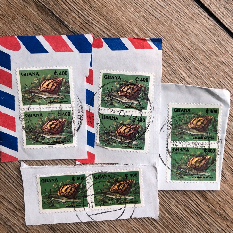 10x Giant Tiger Land Snail Briefmarke Ghana / Achatina in Pilsting