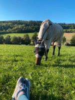 Felix Bühler Fliegendecke Bayern - Weißenburg in Bayern Vorschau