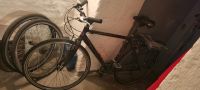 Fahrrad Herren 28" 56 Rahmen Essen - Essen-Stadtmitte Vorschau