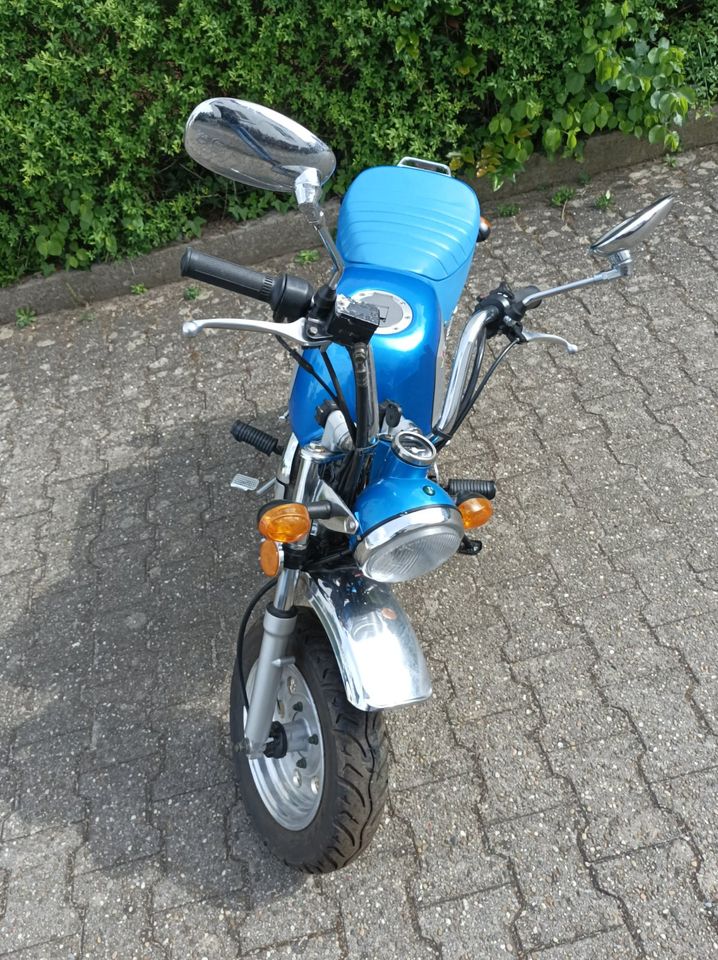 Sky Team Bongo 125 ccm Leichtkraftrad wie Honda Monkey in Darmstadt