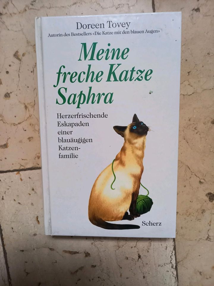 Meine freche Katze Saphra in Diez